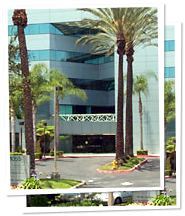 Lovebirds Monterey Park