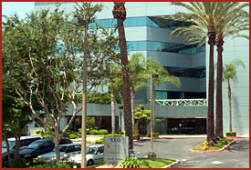 Montery Park Lovebirds (Coming Soon)